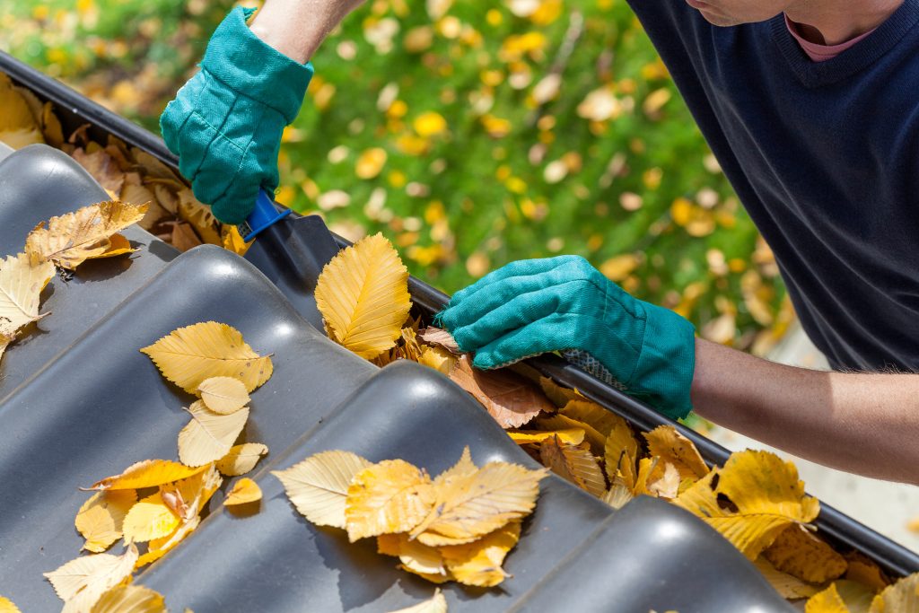 professionaly cleaning gutters in liverpool uk